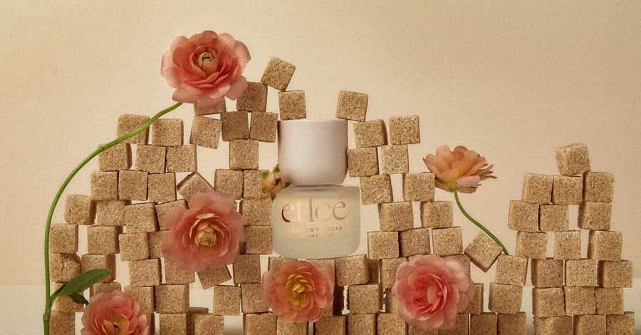 Olfactory Experience